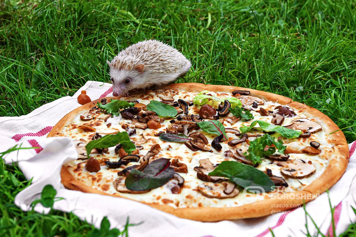 Пицца «Грибная» - рекламная кампания для ПиццаФабрики